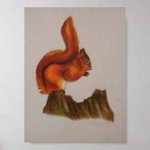 Rood vierkant afdrukken poster