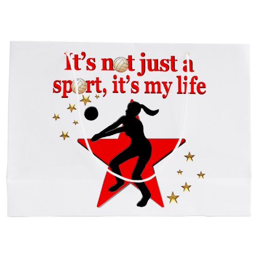 ROOD VOLLEYBAL IS MIJN LEVENSSTIJL GROOT CADEAUZAKJE (Achterkant)