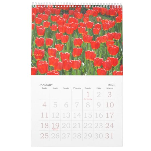 rood voor 2013 kalender (Jan 2026)