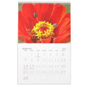 Rood voor 2025 kalender (Feb 2027)