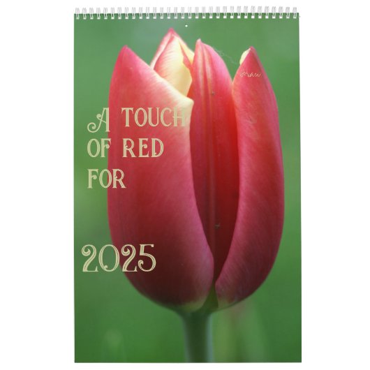 Rood voor 2025 kalender (Hoes)