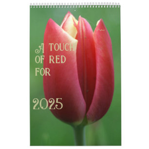 Rood voor 2025 kalender