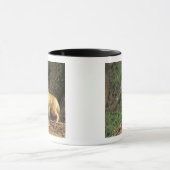 Rood vossen voor de pup (Vulpes vulpes) Mok (Midden)