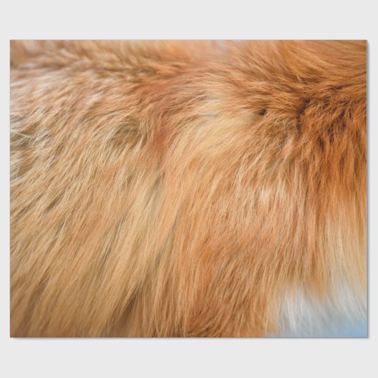 Rood vosthout cadeaupapier (Vlak)