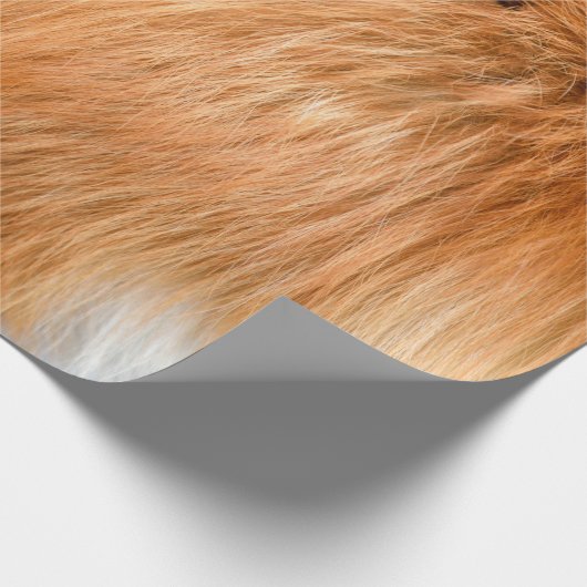 Rood vosthout cadeaupapier (Hoek)