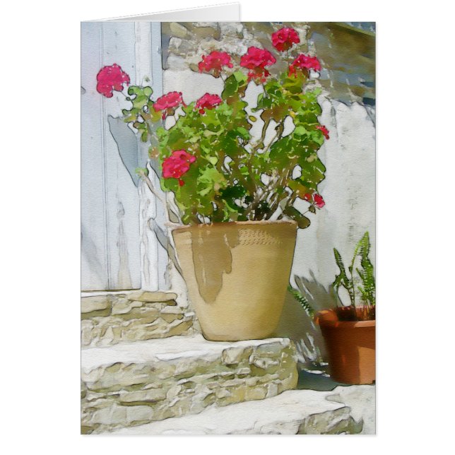 Rood waterverf geranium (Voorkant)