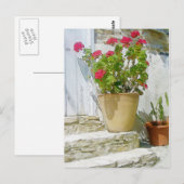 Rood waterverf geranium briefkaart (Voorkant / Achterkant)