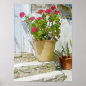 Rood waterverf geranium poster (Voorkant)