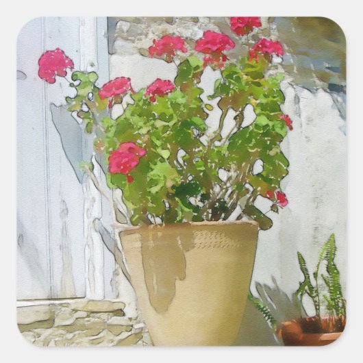 Rood waterverf geranium vierkante sticker (Voorkant)