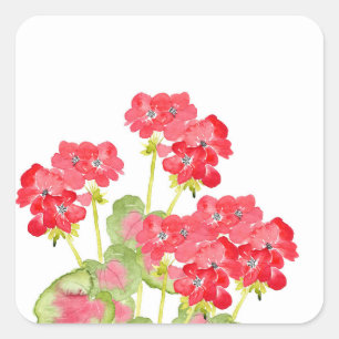Rood Waterverf Geraniums 2 Vierkante Sticker
