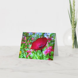 Rood Wenskaart Wildflower Bedankkaart