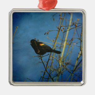 Rood-Winged Black Bird-zingen Metalen Ornament