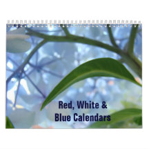 Rood Wit Blauw Amerikaanse Agenda Start elke Maand
