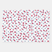Rood Wit Blauw Sterren Patroon USA Onafhankelijkhe Inpakpapier Vel (Voorkant 3)