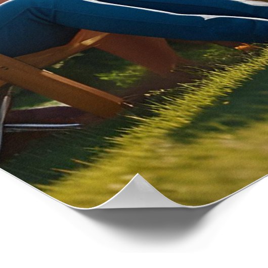 Rood, wit en blauw 4th of July Scene Poster (Hoek)