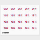 Rood Wit en Blauw American Flag Stickers stemmen (Vel)