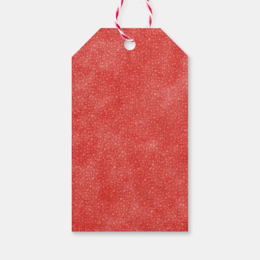 Rood wit en blauw | Bedankt voor je service Cadeaulabel (Achterkant)