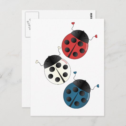 Rood wit en blauw Ladybugs Briefkaart (Voorkant / Achterkant)