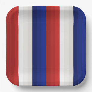 Rood Wit en Blauw Patriottisch Gradiënt Strepen Papieren Bordje