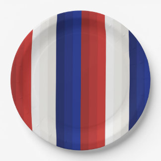 Rood Wit en Blauw Patriottisch Gradiënt Strepen Papieren Bordje