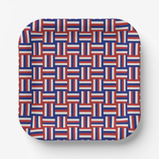 Rood Wit en Blauw Verlopend Patriottisch Zig Zagpa Papieren Bordje