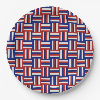 Rood Wit en Blauw Verlopend Patriottisch Zig Zagpa Papieren Bordje