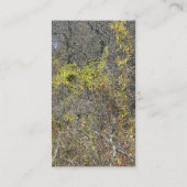 Rood wit en blauw visitekaartje (Achterkant)