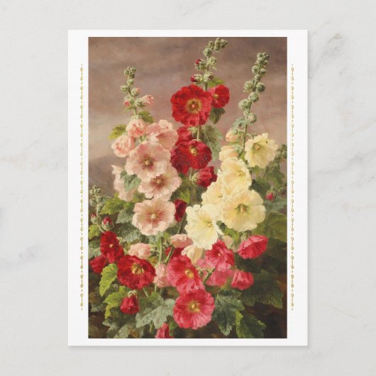 Rood, wit en roze hollyhocks, Christensen Briefkaart (Voorkant)