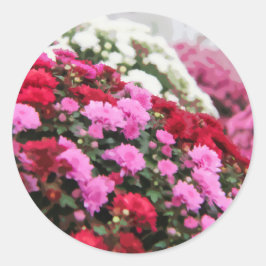Rood Wit en Roze Kleurrijke Mums Bloemenschilderij Ronde Sticker