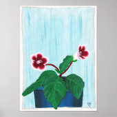 Rood wit Gloxinia Afrikaans Violet Flower Poster (Voorkant)