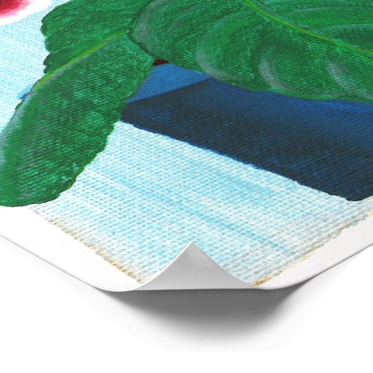 Rood wit Gloxinia Afrikaans Violet Flower Poster (Hoek)