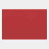 Rood Wit Groen Kerst Buffel Plaid Inpakpapier Vel (Voorkant 2)