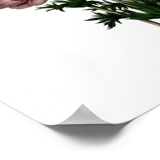 Rood Wit Paarse  Moody Bloemen Poster (Hoek)