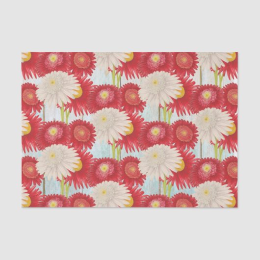  rood wit pyrethum madeliefjes hemelsblauw hek tissuepapier (Voorkant)