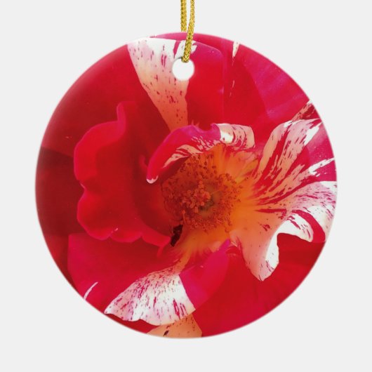 Rood & Wit Rose Foto Cirkel Ornament (Voorkant)