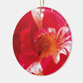 Rood & Wit Rose Foto Cirkel Ornament (Links)