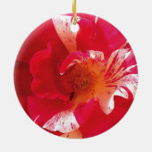 Rood & Wit Rose Foto Cirkel Ornament (Achterkant)
