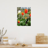 Rood wit Tulp Lente Natuur Garden Poster (Keuken)