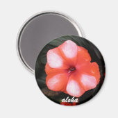 Rood-witte alfa magneet (Voorkant / Achterkant)