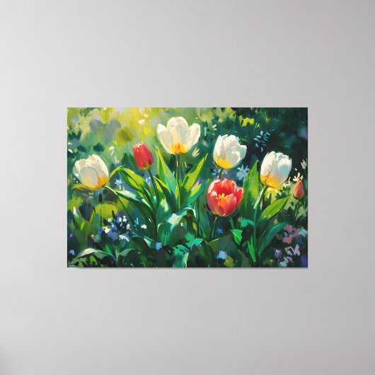 *~* Rood Witte Tulpen TV2 Uitgerekte Canvas Print (Voorkant)