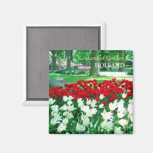 Rood witte tulpentuin magneet (Voorkant / Achterkant)