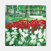 Rood witte tulpentuin magneet (Voorkant)