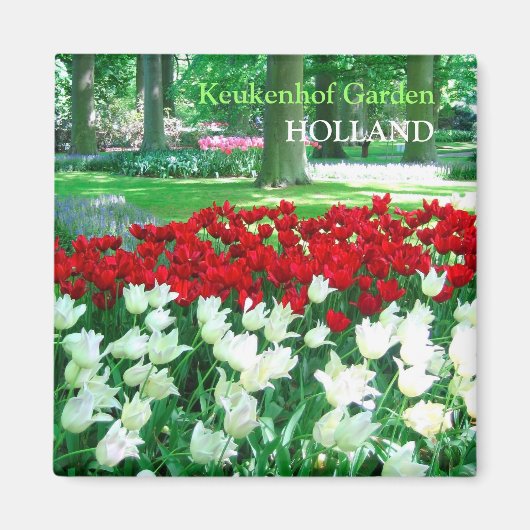 Rood witte tulpentuin magneet (Voorkant)