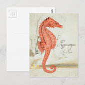  Rood Zee Paarden Briefkaart (Voorkant / Achterkant)