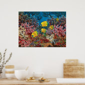 Rood Zee Poster (Keuken)