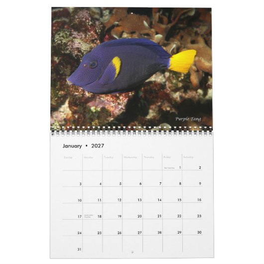 Rood Zee Ref Vissen 1 Kalender (Jan 2027)