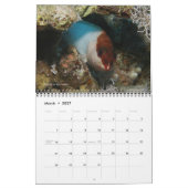 Rood Zee Ref Vissen 1 Kalender (Mar 2027)