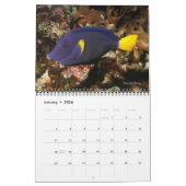 Rood Zee Ref Vissen 1 Kalender (Jan 2026)