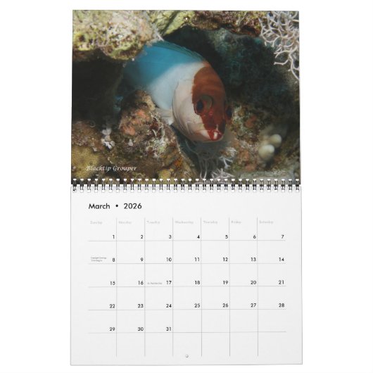 Rood Zee Ref Vissen 1 Kalender (Mar 2026)