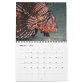 Rood Zee Ref Vissen 1 Kalender (Feb 2026)